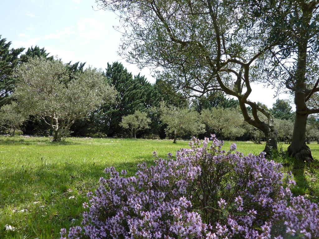 Les Mazets Du Luberon Bed and Breakfast Puget Εξωτερικό φωτογραφία